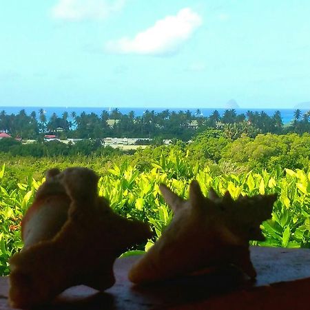 Studios Carribean Sea View Sainte-Anne Esterno foto